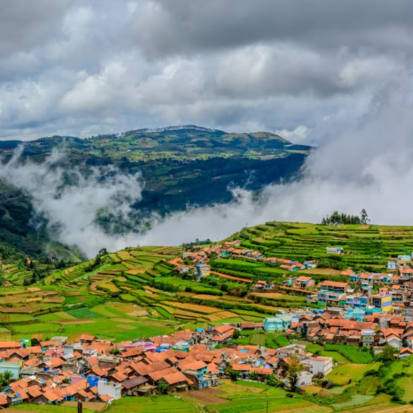Ooty